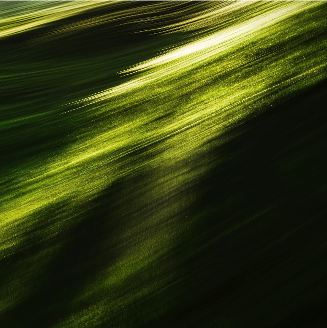 Program + Personalised support | Flow & Grow together